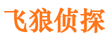 邢台县飞狼私家侦探公司